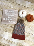 Knit Beanie Hat fall Autumn colors slouch beanie hat fur Pom Pom